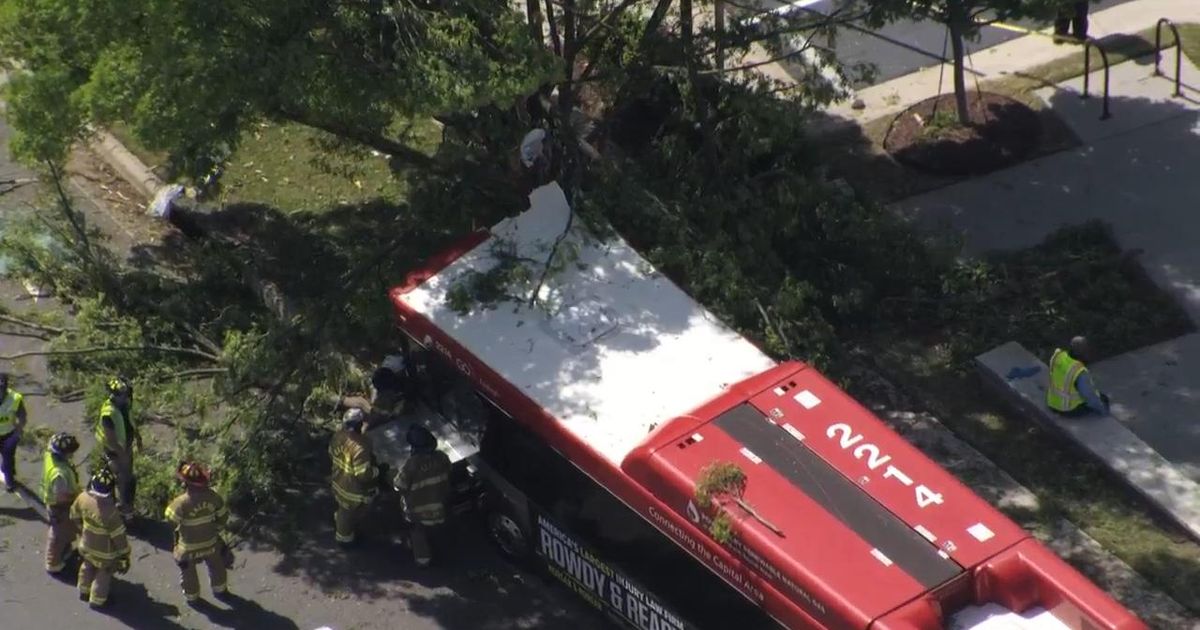 GoRaleigh bus crashed into tree in Raleigh, two people injured