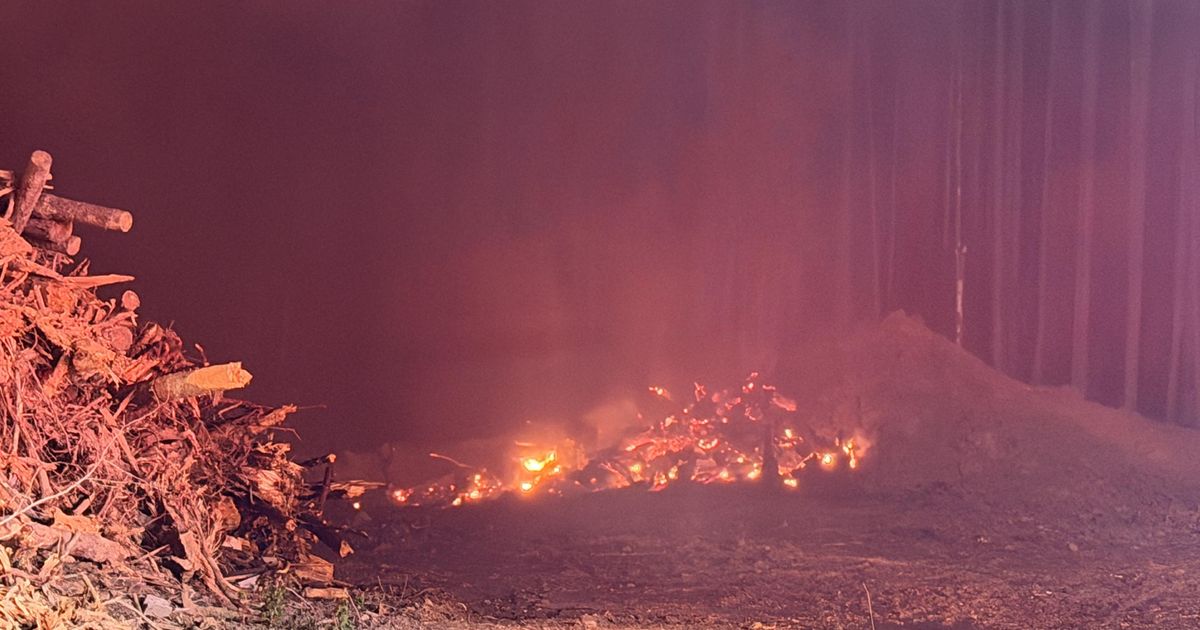 हवा, शुष्क स्थिति बनी रहने के कारण पूरे मध्य एनसी में ब्रश की आग जल रही है