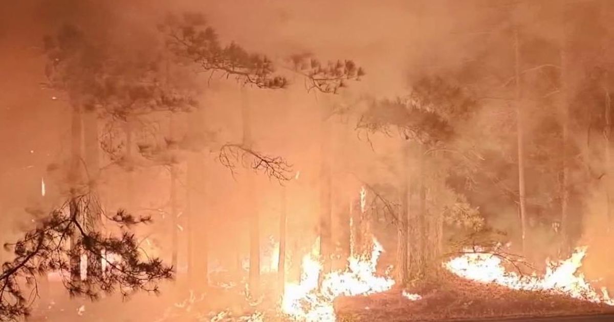 Fire officials ramp up North Carolina's burn-ban enforcement with nearly 100 more citation in a week