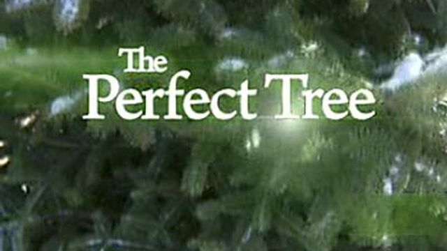 WRAL Documentary: The Perfect Tree