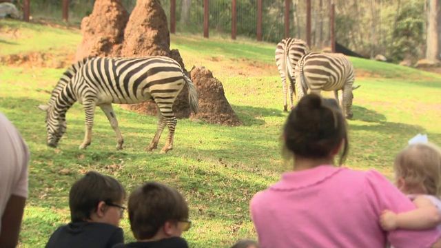 Tar Heel Traveler: North Carolina Zoo