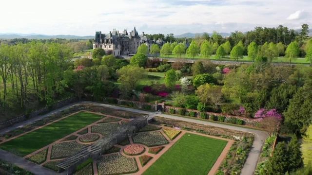 Tar Heel Traveler: Biltmore Estate Azaleas