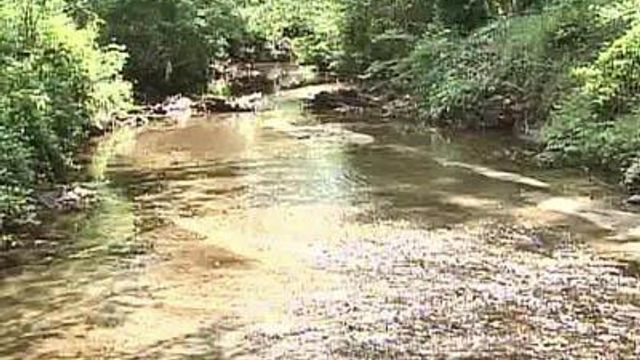 PCBs contaminate Walnut, Rocky Branch creeks