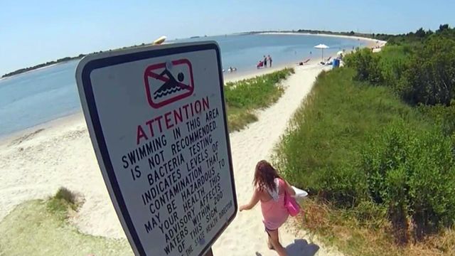 Water at some NC beaches has too much bacteria