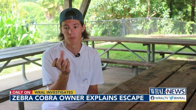 Owner of Raleigh's zebra cobra explains why he waited months to report the deadly snake as missing 