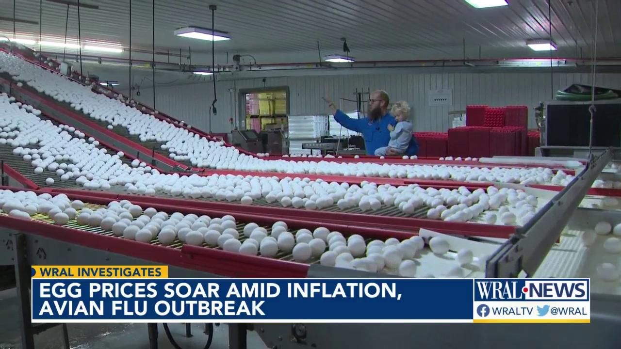 Egg Prices Soar As Farmers Battle Inflation, Avian Flu