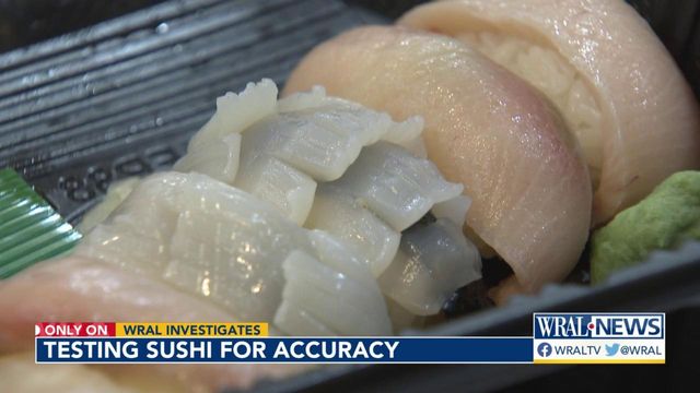Endangered hammerhead shark in your sushi! The results of testing by WRAL investigates