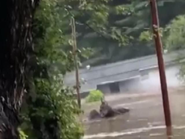 飓风“海伦”过后，北卡西部重新集结，热带风暴“弗雷德”的大部分救灾资金仍未受到影响