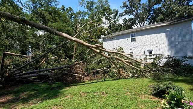 A file photo of a downed tree in Chapel Hill.