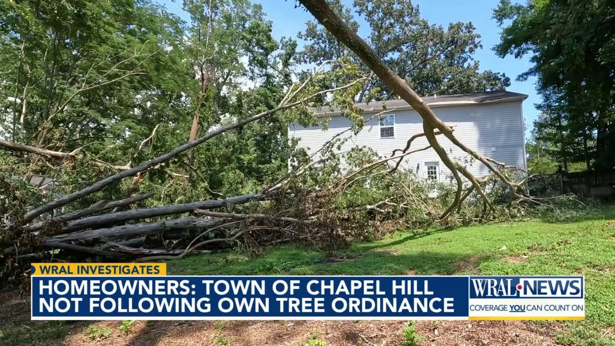 Chapel Hill homeowners accuse town of failing to enforce tree protection rules