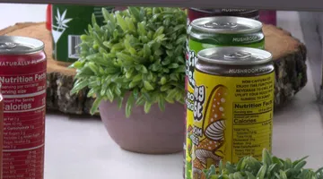 Asset Thumbnail
