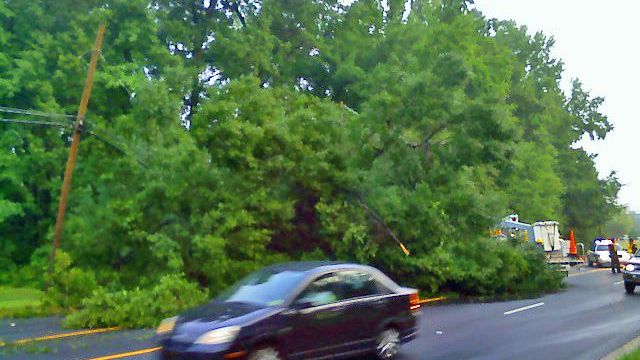 Storms topple trees, flood Durham streets