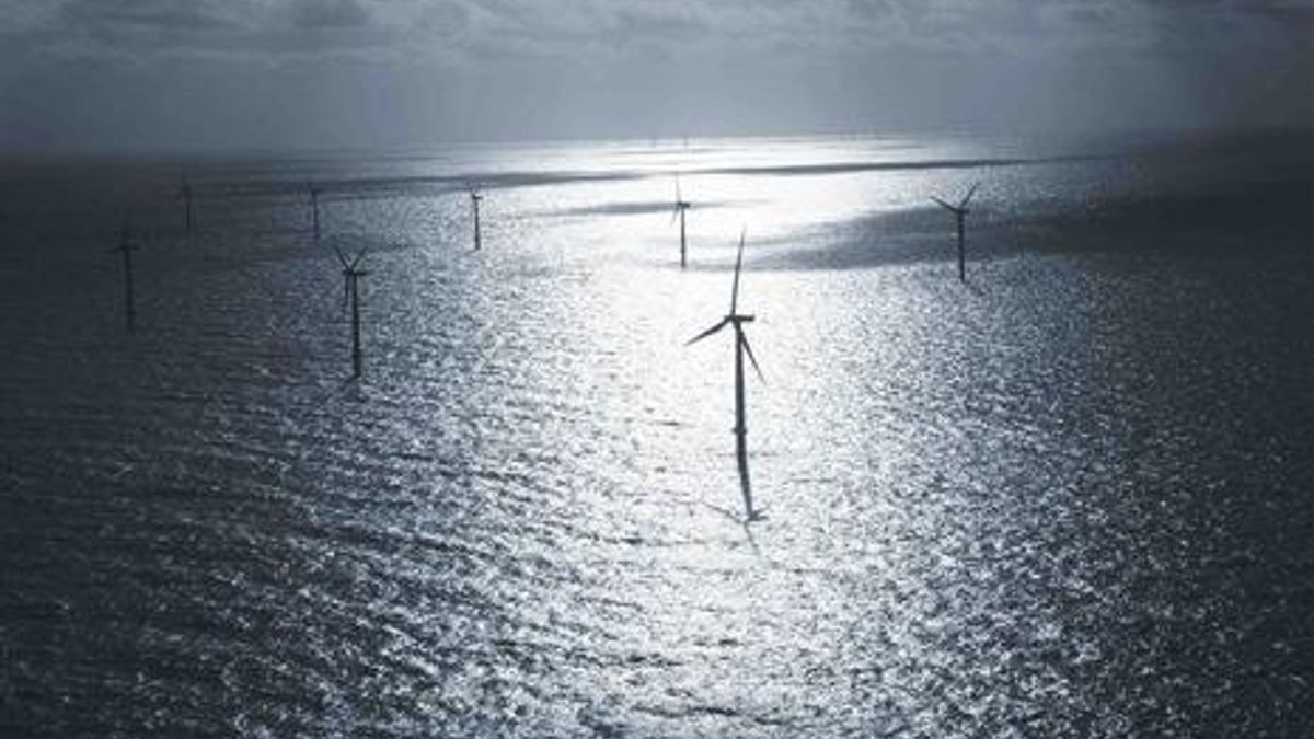 Offshore Wind Farm