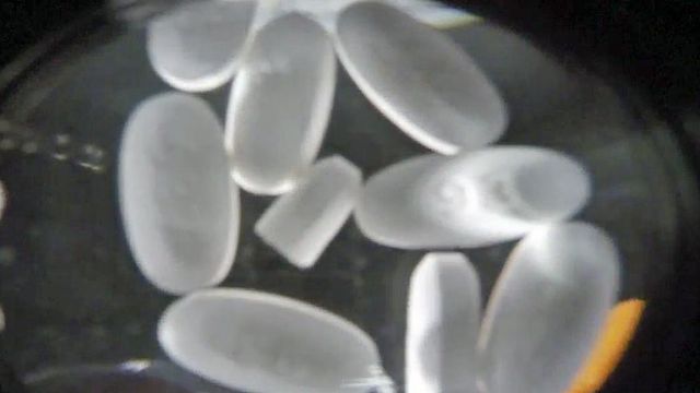 $31 million in federal funding granted to NC to help fight opioid crisis