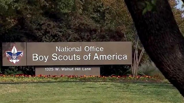 Many applaud decision to let girls join Boy Scouts 