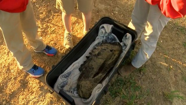 Boys unearth Mastodon bones
