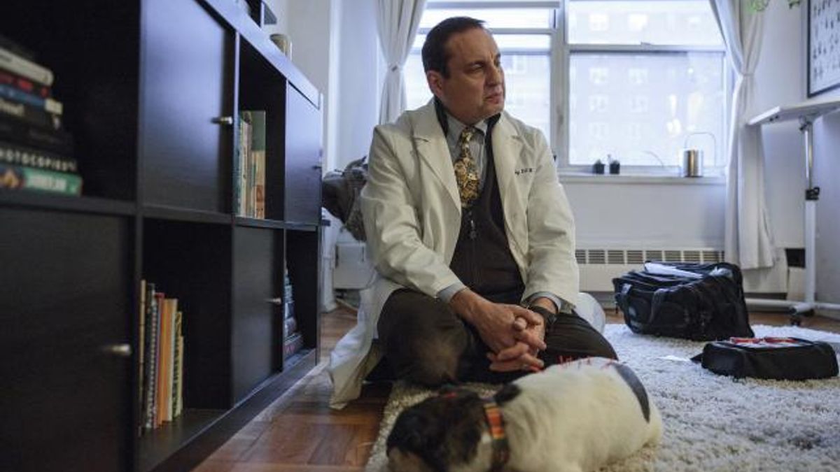 The Acupuncture Vet