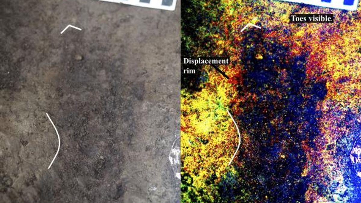 RESTRICTED -- News and Notes About Science