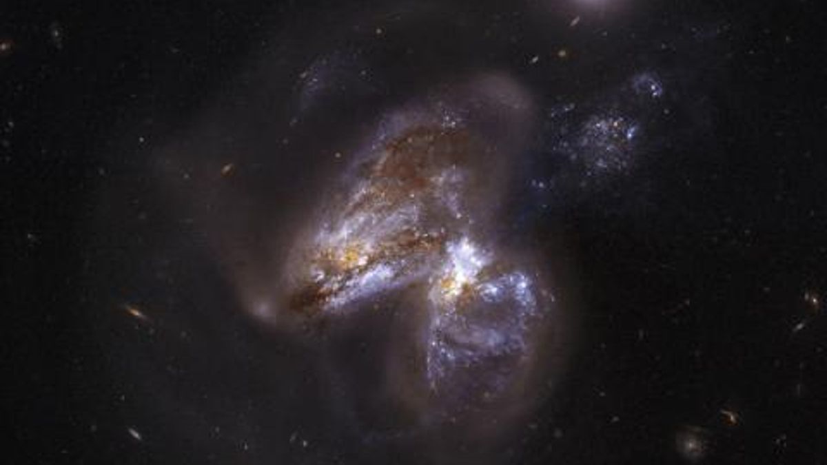 News and Notes About Science
