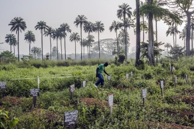 For the First Time, a Female Ebola Survivor Infects Others