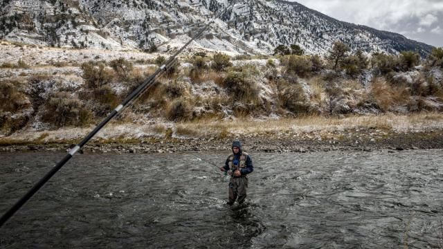 Your Children’s Yellowstone Will Be Radically Different