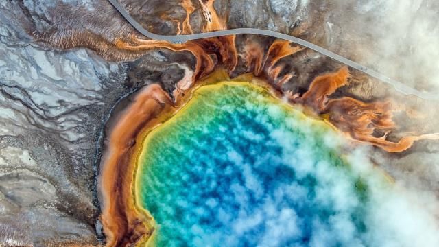 Your Children’s Yellowstone Will Be Radically Different