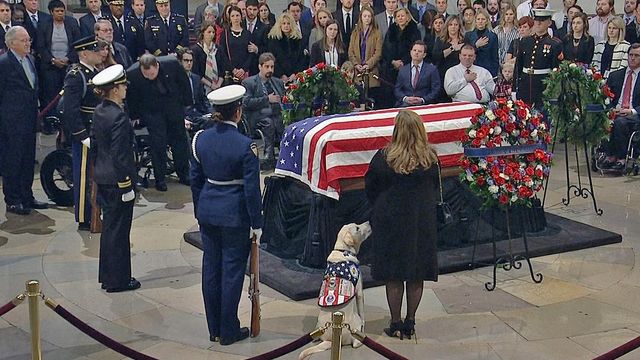 Bush's service dog arrives at US Capitol to say goodbye