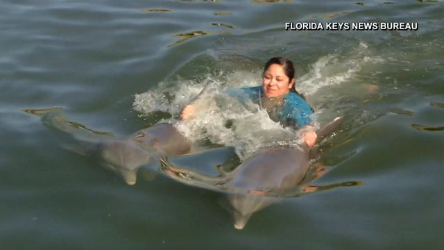 Wounded warriors swim with dolphins in Florida Keys