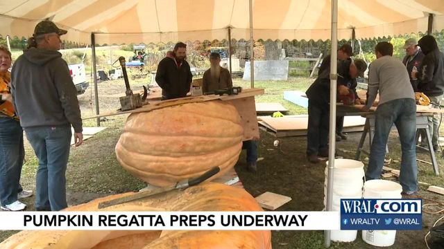 Maine town takes part in annual carving, racing of huge pumpkins