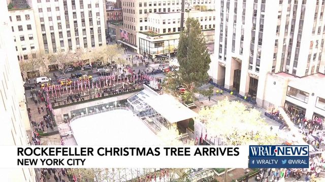 Large crowds gather as Rockefeller Center Christmas tree arrives