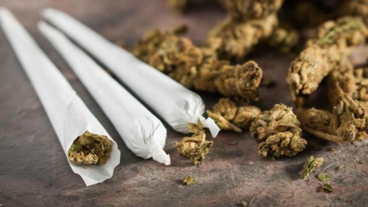 Divided US House committee backs pot decriminalization