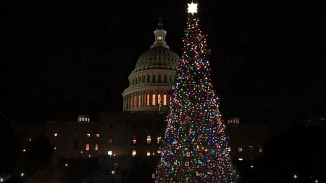 Capitol Christmas tree lights up D.C. sky