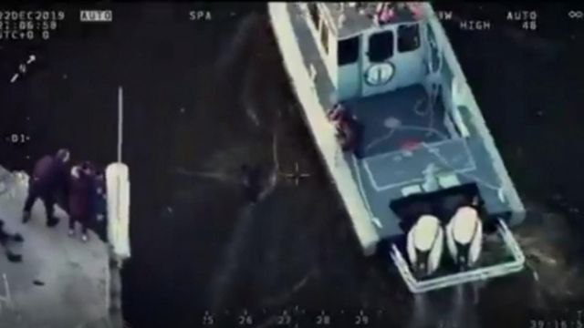 Officer jumps into Baltimore Harbor, rescues dog
