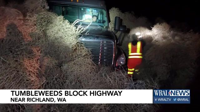 Drivers struggle after being trapped in tumbleweeds on Washington state highway
