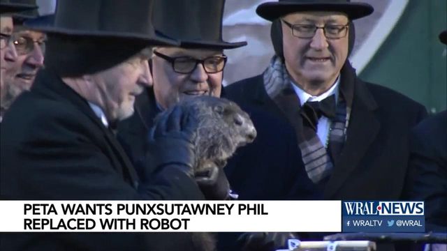 PETA wants Punxsutawney Phil replaced with robot