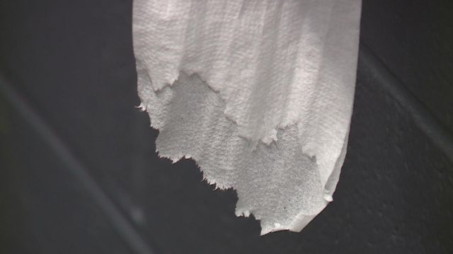 Wiping out crime: Alabama town targets toilet paper bandits