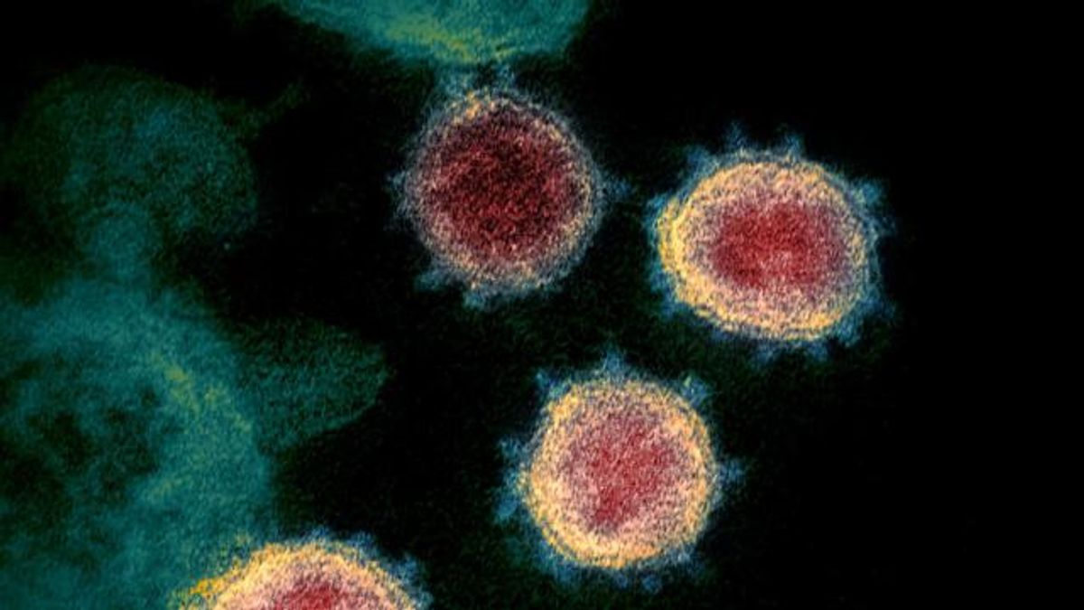 Surfaces? Sneezes? Sex? How the Coronavirus Can and Cannot Spread