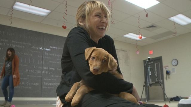 Puppy yoga pays off for rescue group