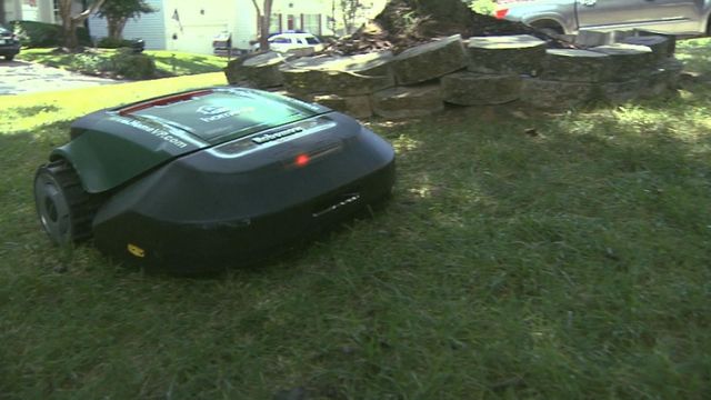 Mowing made easy: Robots tackle lawn care