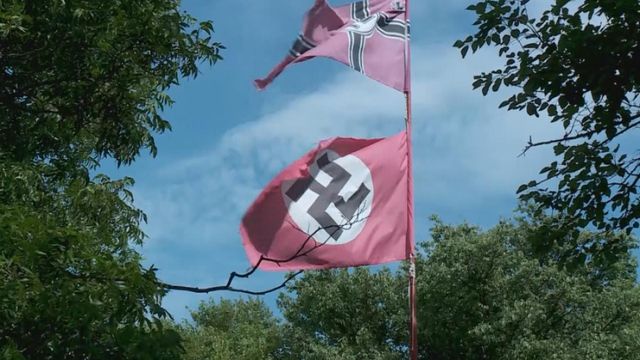 Woman shot while attempting to steal Nazi flag