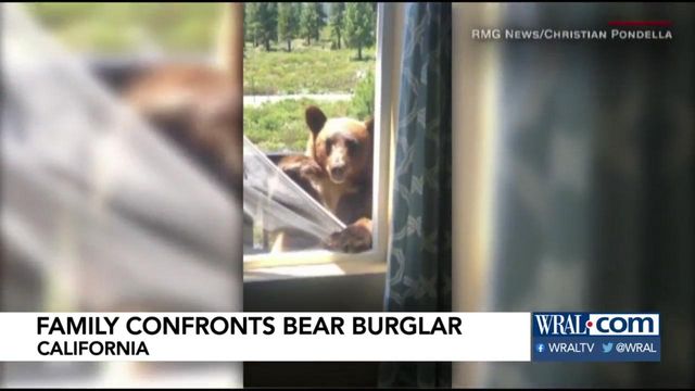 California family confronts bear burglar 