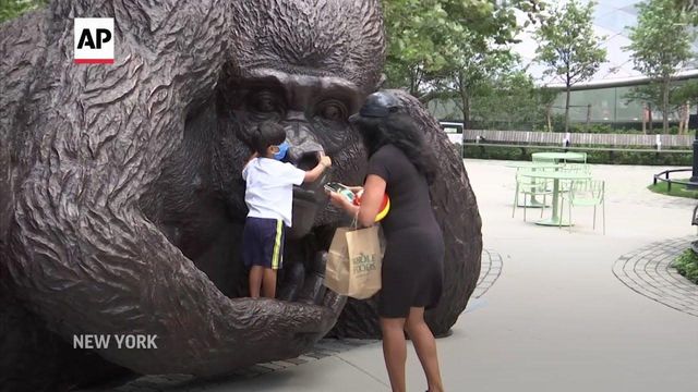 4-1/2 ton gorilla statue unveiled in NYC