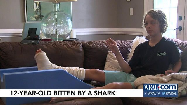 12-year-old bitten by shark in South Carolina 