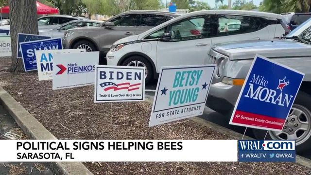 Political signs being used to help bees