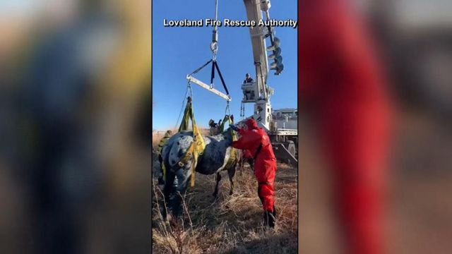 Wow! Horse lifted out of icy pond in Colorado 
