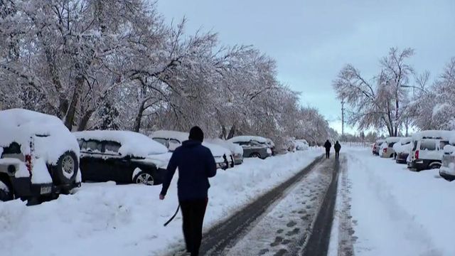 Winter storm dumps over a foot of snow in parts of Colorado 