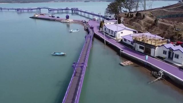 Beautiful: South Korean town known as the 'purple island'