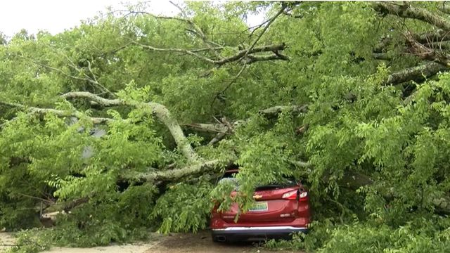 Homes, cars and businesses damaged in Alabama from severe storms 