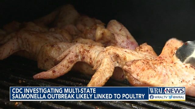 CDC investigating salmonella outbreak linked to backyard poultry 