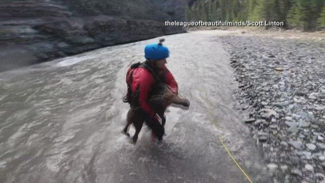 Kayakers rescue moose calf caught in up river